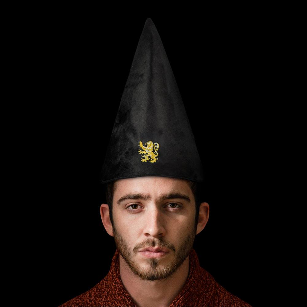 Gryffindor Wizard Hat – Real courage to put it on