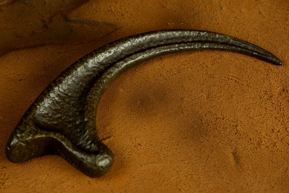 Jurassic Park - Velociraptor-Kralle als 1-zu-1-Replika