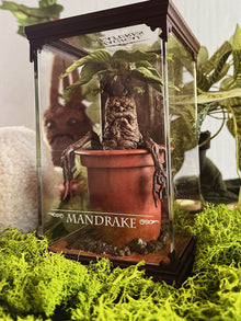 Harry Potter Alraune Statue 13 cm – Magische Kreaturen als Diorama