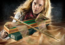 Hermione Granger's wand in Ollivander's box