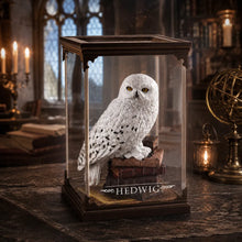 Diorama z Hedwigą – Magiczna sowa z Harry’ego Pottera