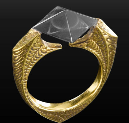 Voldemort's Horcrux Ring Replica – Dark Magic in an Elegant Display