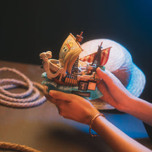 One Piece 3D Ewiger Kalender der Flying Lamb bis in alle Ewigkeit
