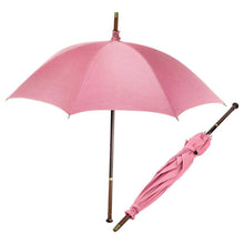 Harry Potter umbrella as Rubeus Hagrid's wand